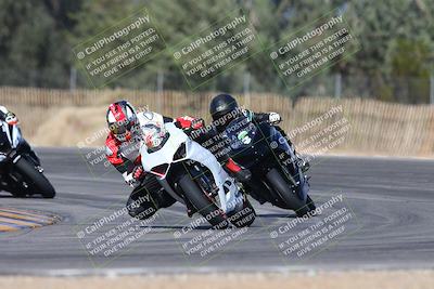 media/Feb-04-2024-SoCal Trackdays (Sun) [[91d6515b1d]]/2-Turn 3 (1015am)/